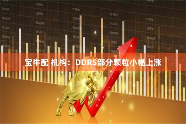 宝牛配 机构：DDR5部分颗粒小幅上涨